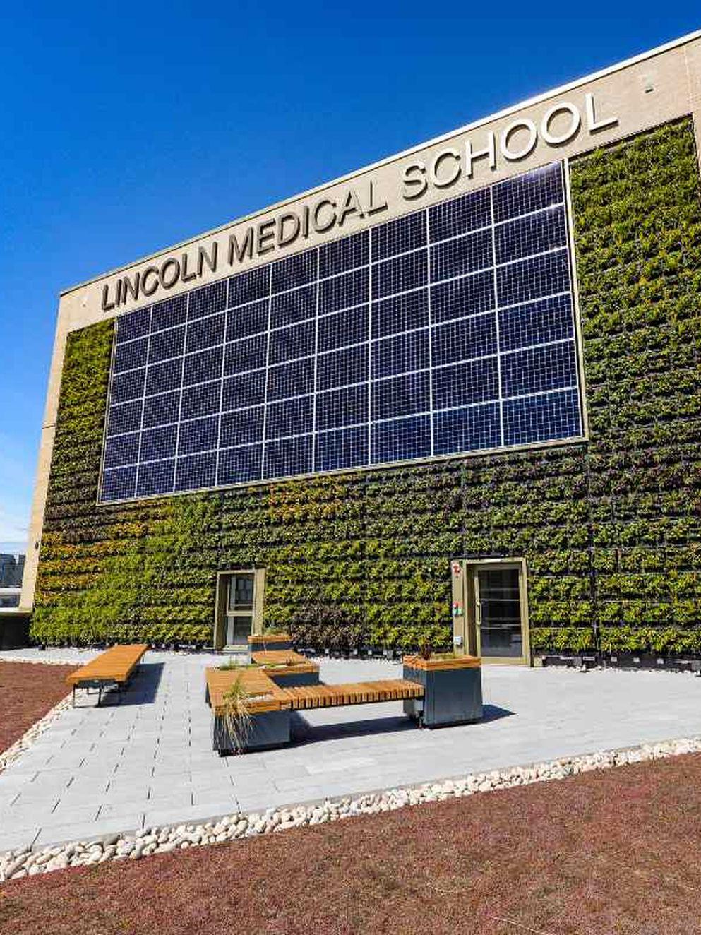 Lincoln medical school