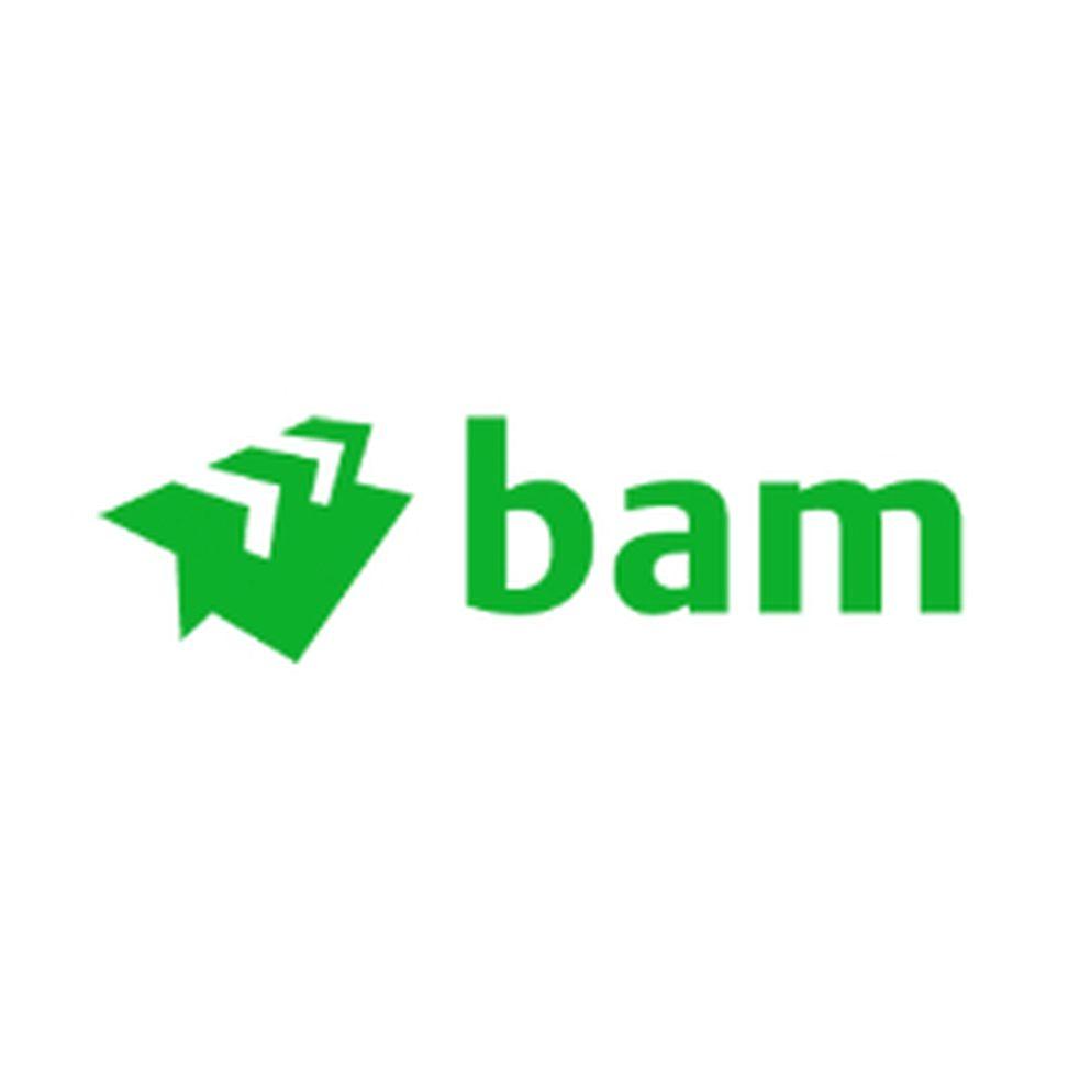 BAM Logo