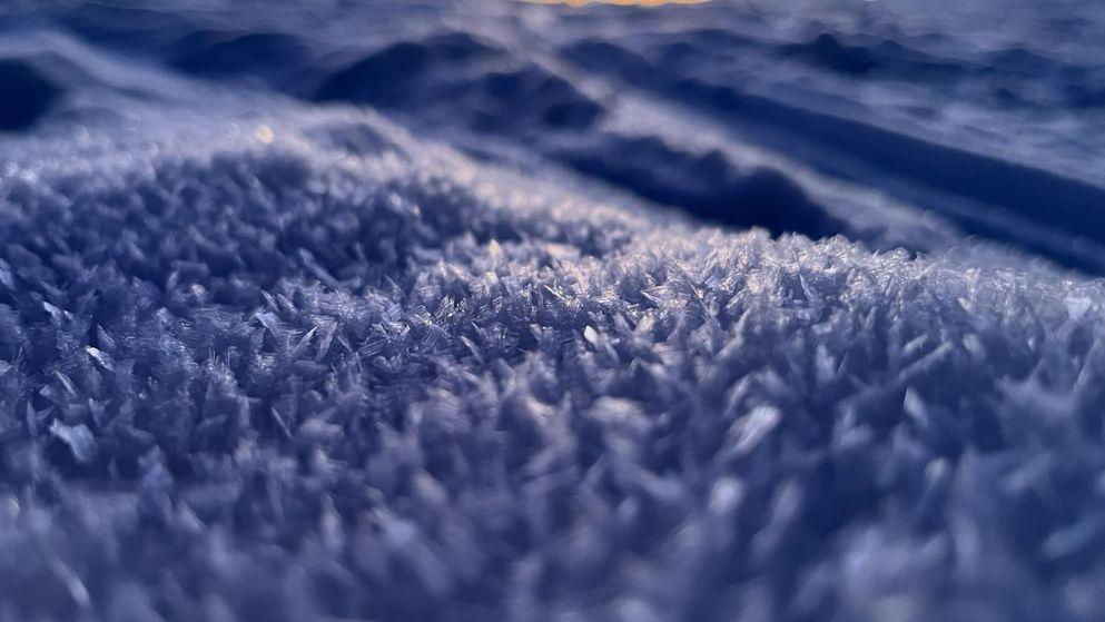 Antarctica - BAM